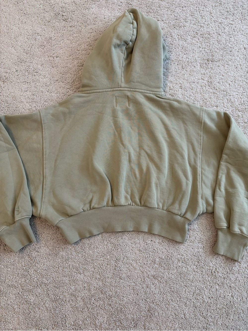 Aritzia TNA CozyAF Fleece Cropped Hoodie Pullover Sage Small - Picture 4 of 4
